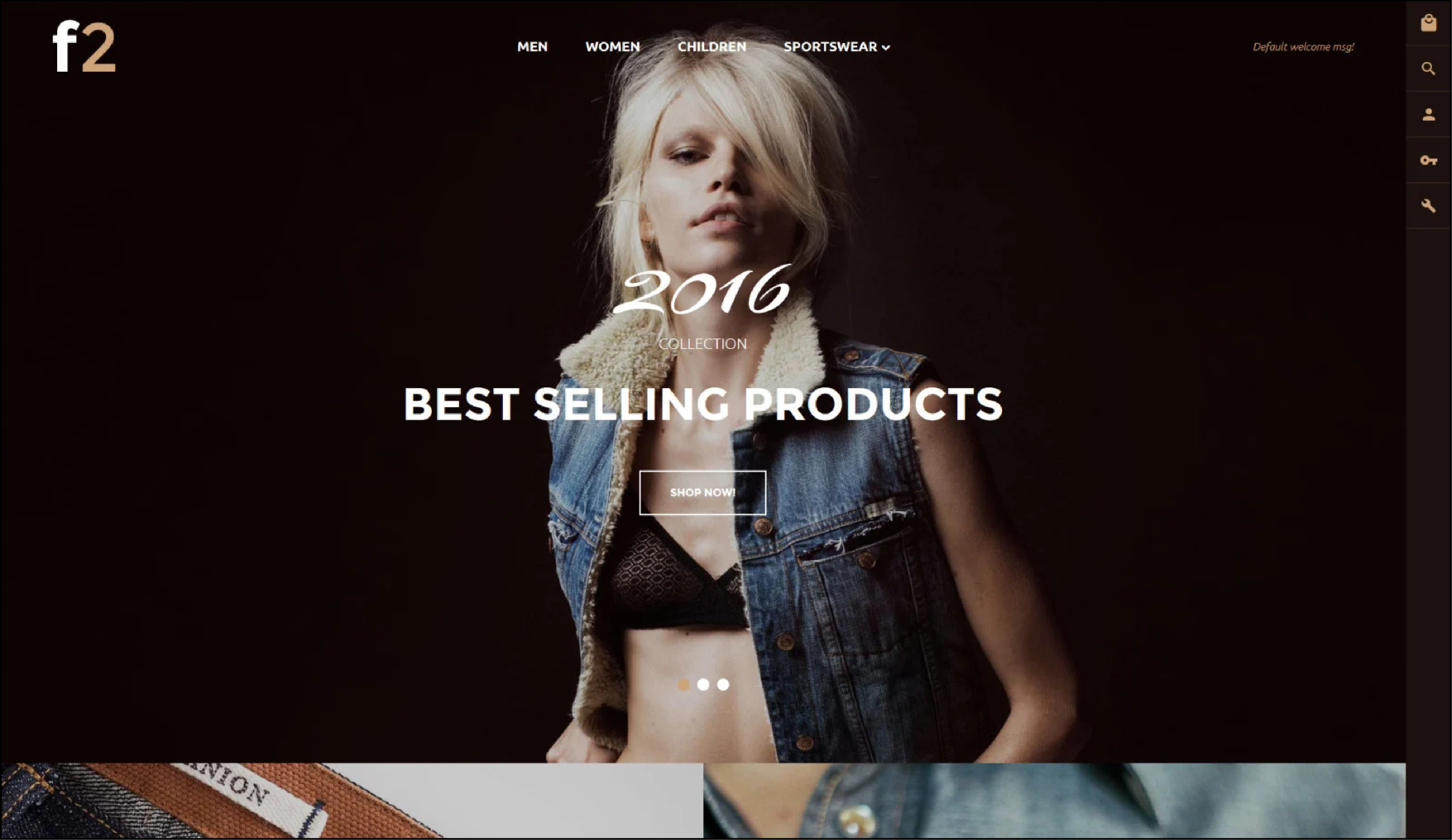 20+ Best Magento Themes and Templates -F2