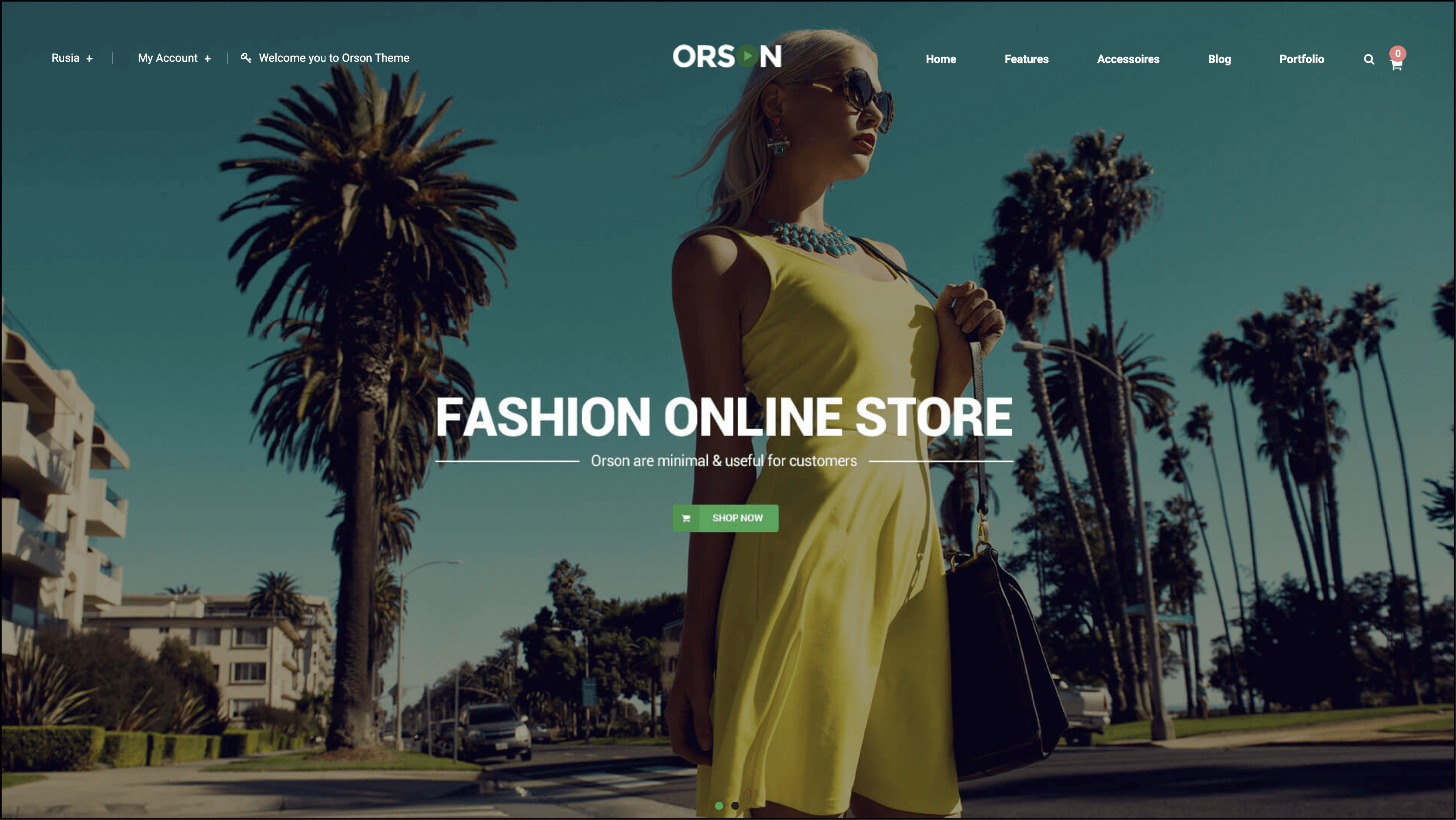 20+ Best Magento Themes and Templates -Orson