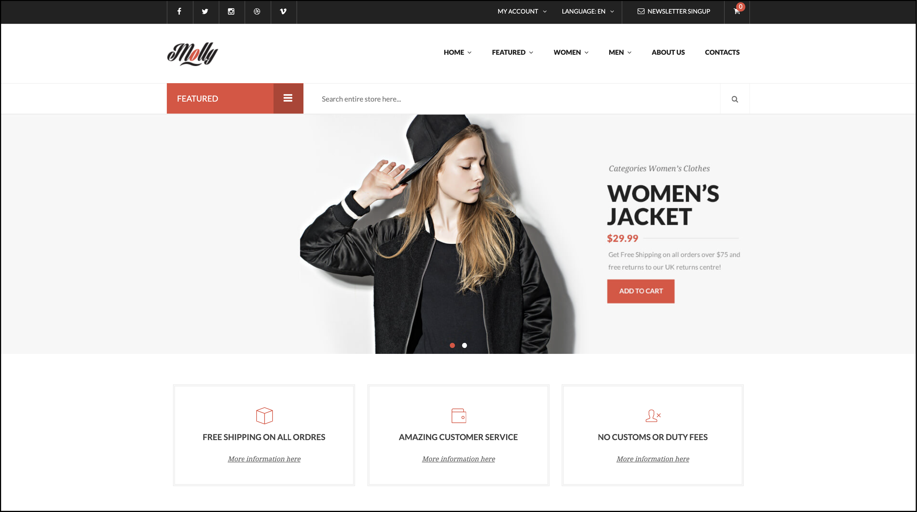 20+ Best Magento Themes and Templates -Molly Theme