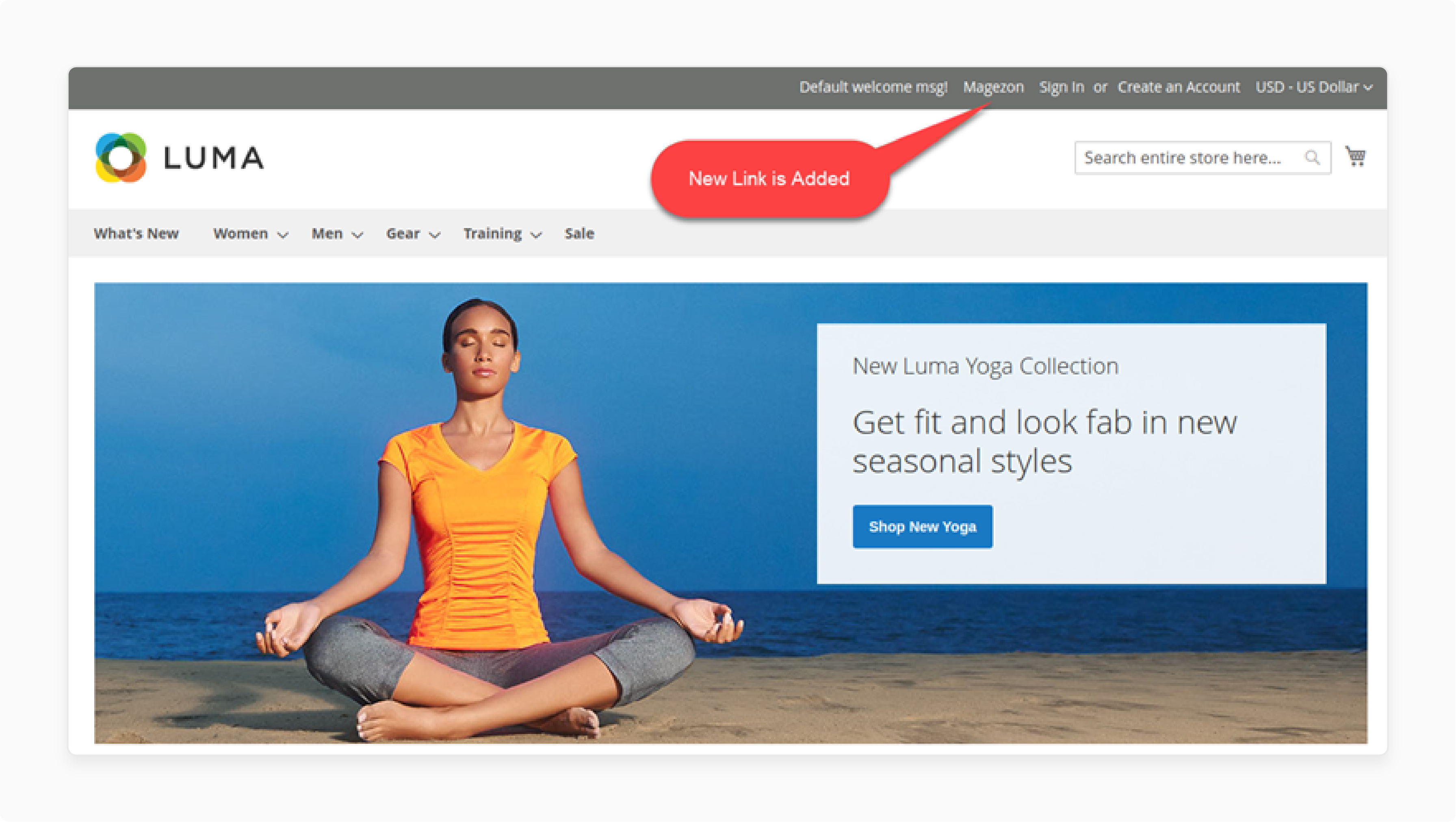 Description of Top Links in Magento 2