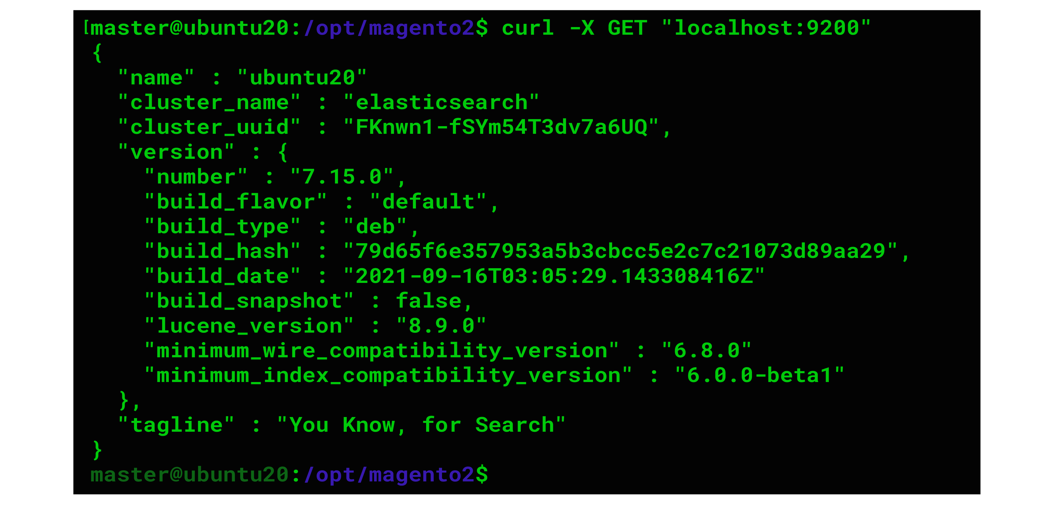 安装 Elasticsearch - 如何在 Ubuntu 2.4 上安装 Magento 20.04