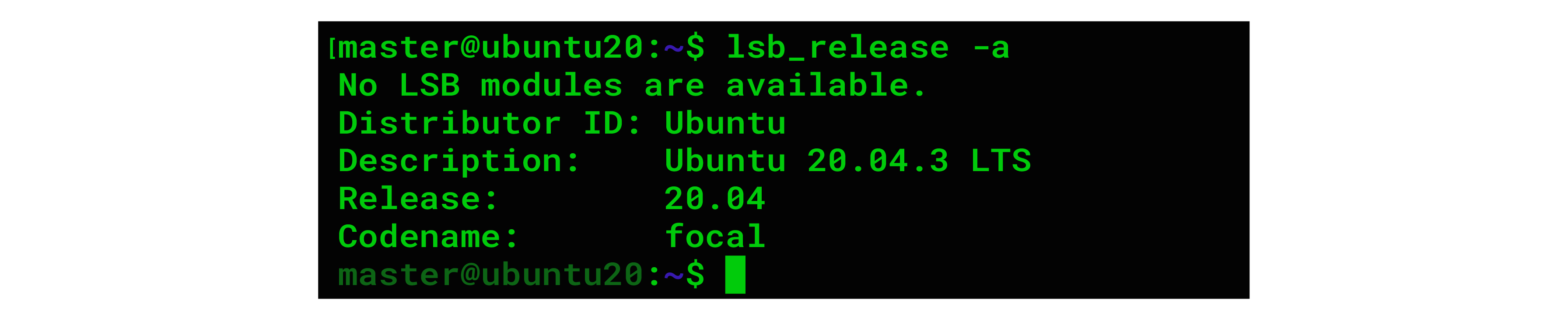如何在 Ubuntu 2.4 上安装 Magento 20.04