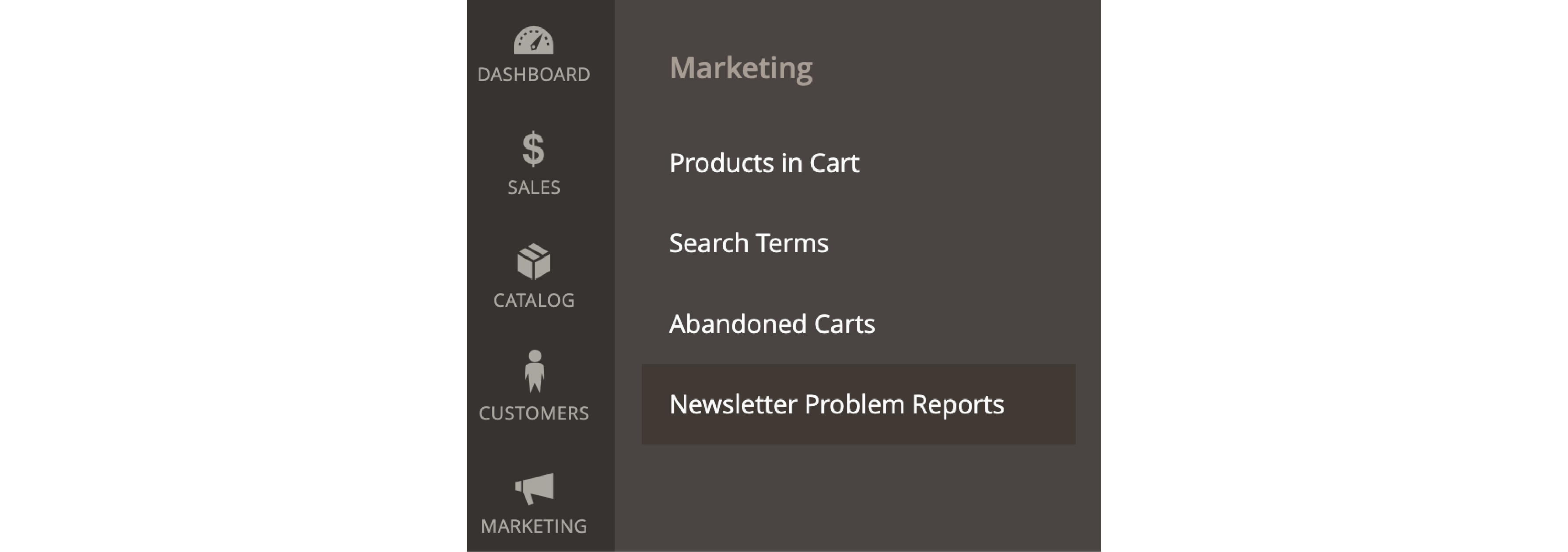 Accessing Newsletter Reports in Magento 2