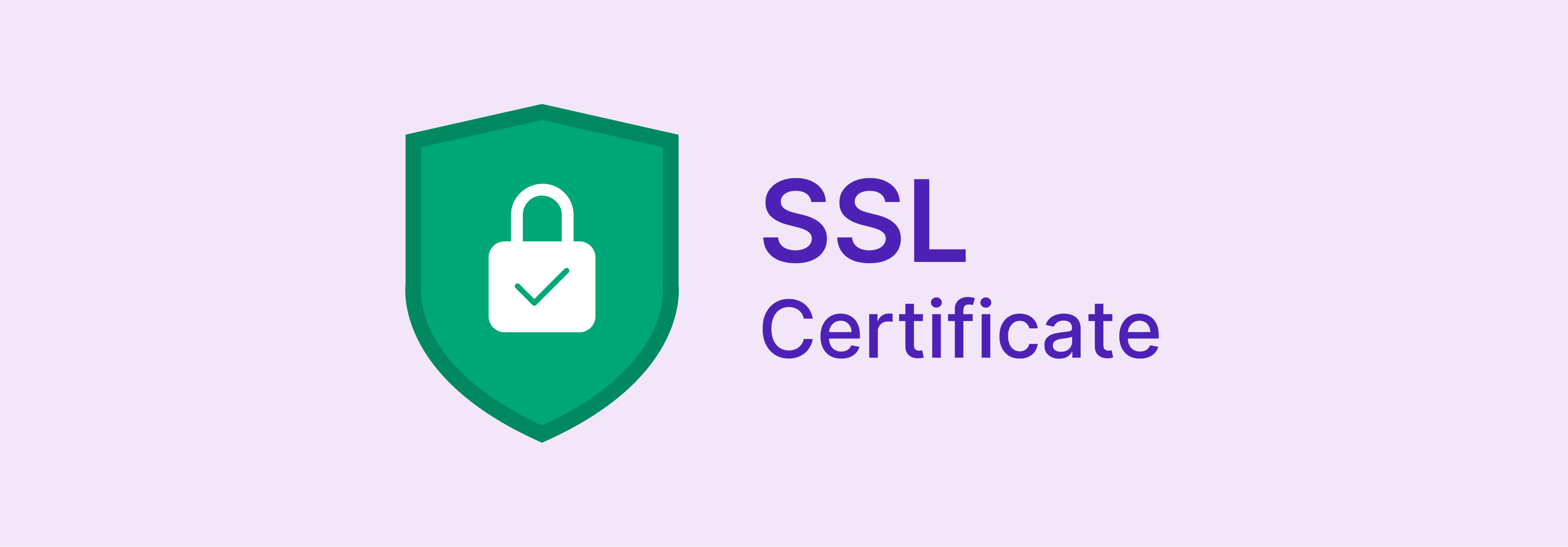 SSL certifications for Magento e-commerce security