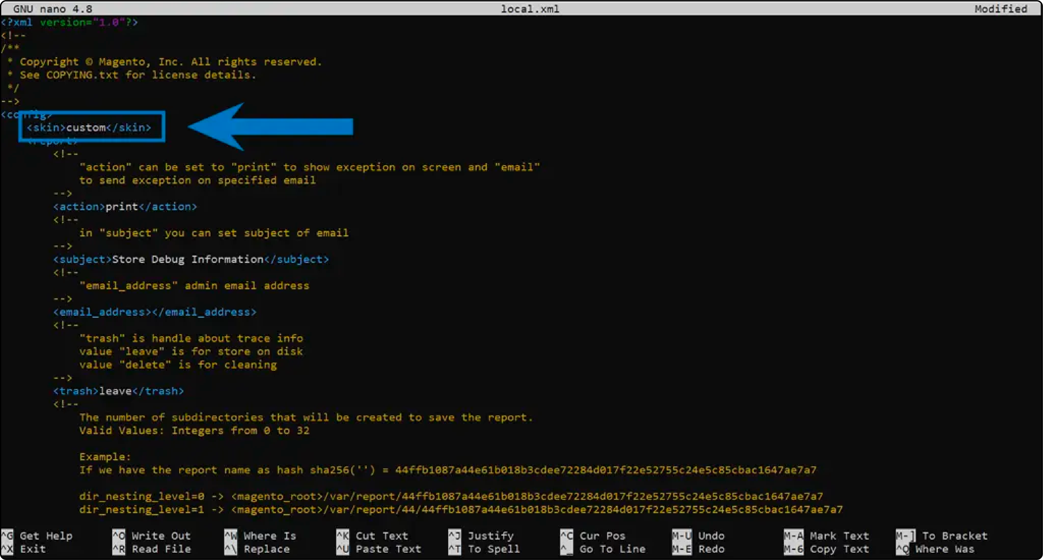 Editing local.xml file for Magento 2 maintenance customization