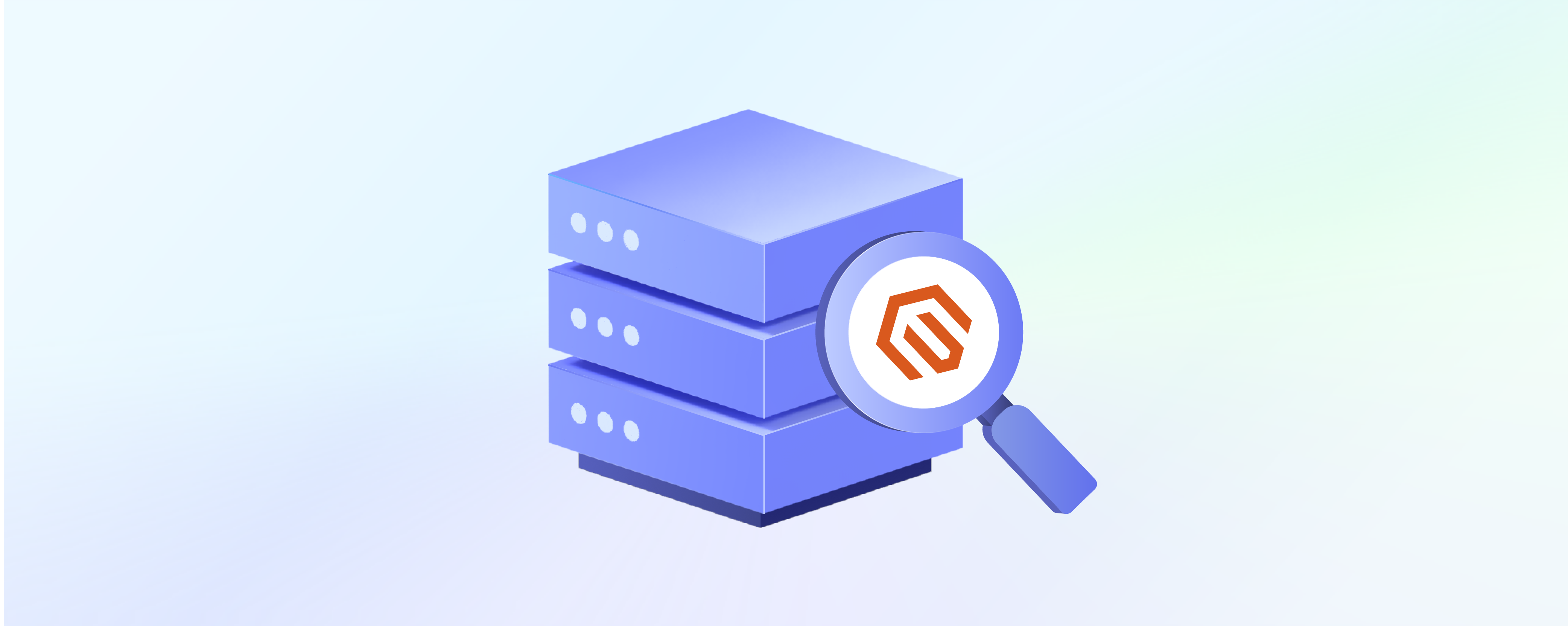 Magento Hosting Companies: 11 Steps for Future Growth