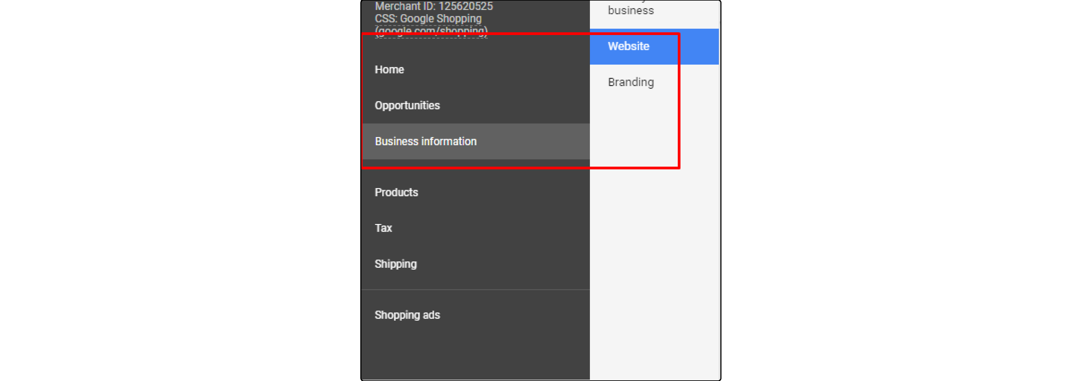 Verifying Website in Magento Google Shopping Feed