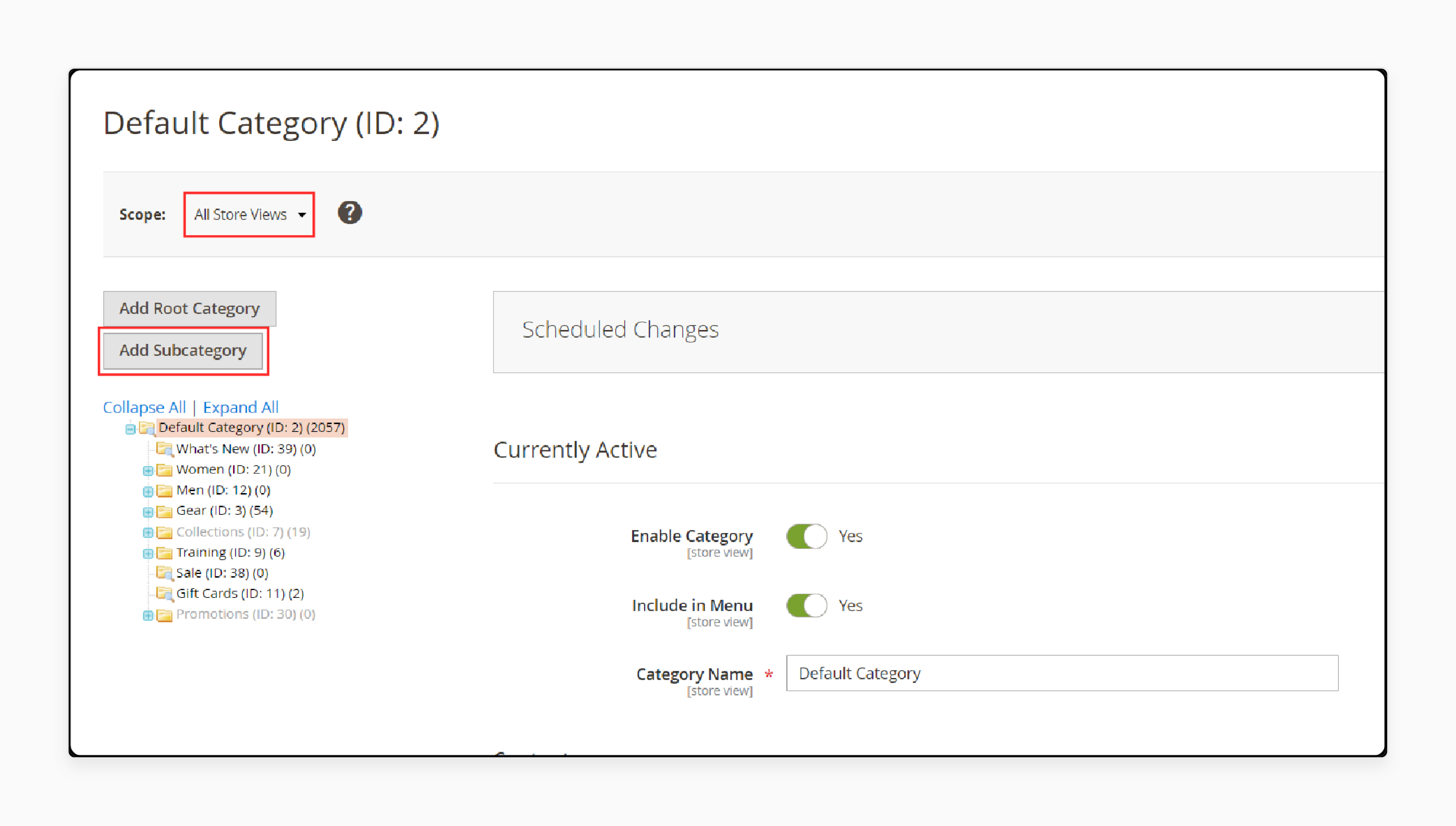 All Store Views in Magento 2 Flat Catalog
