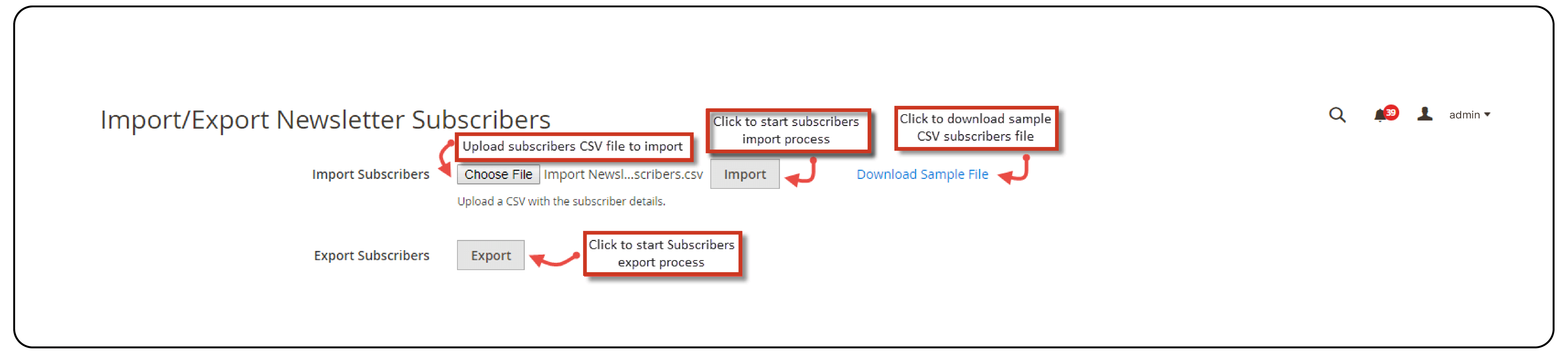 Magento 2 Import Export Newsletter Subscribers Extension - Subscriber info
