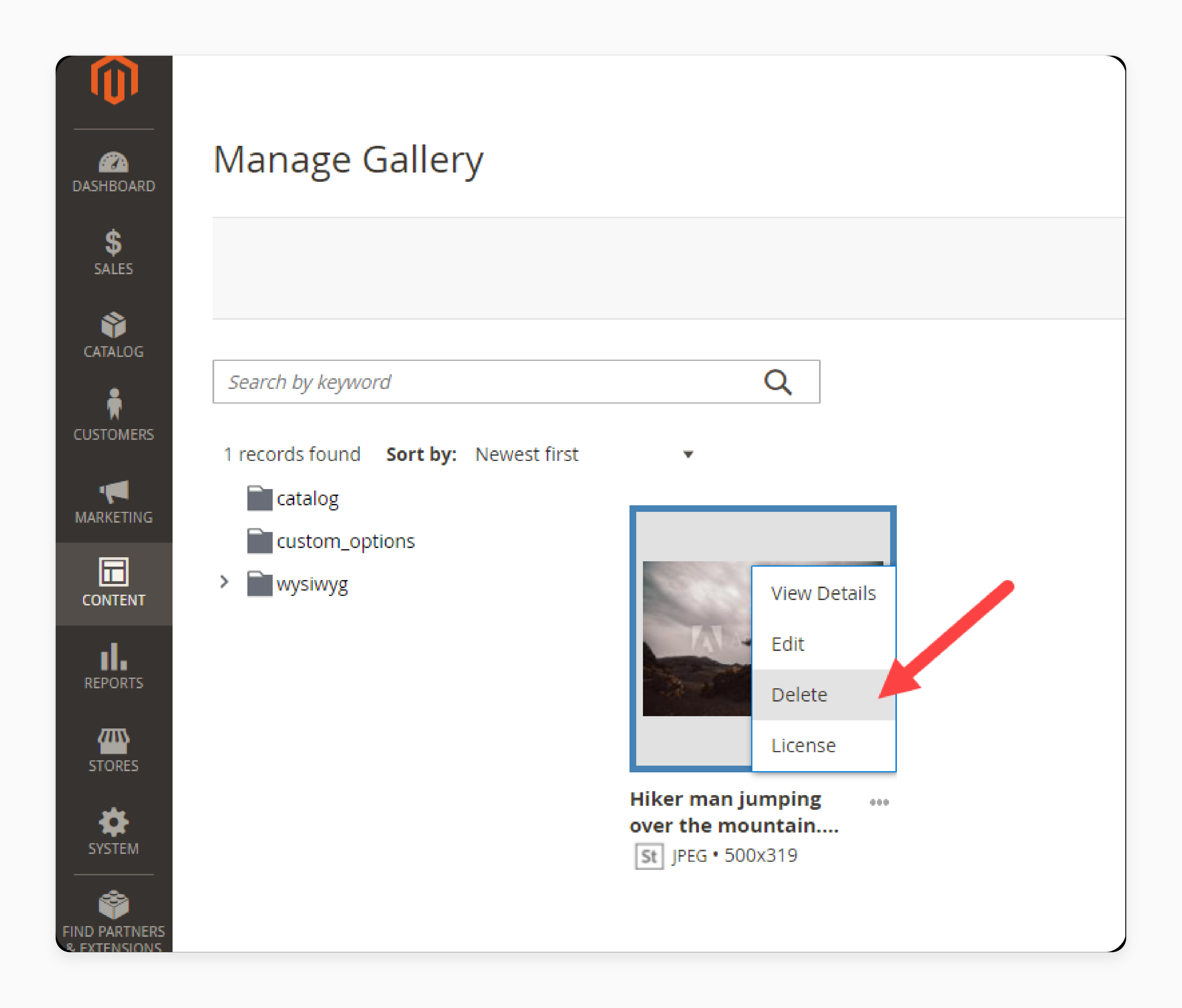 Delete media files using the Magento 2 media gallery extension