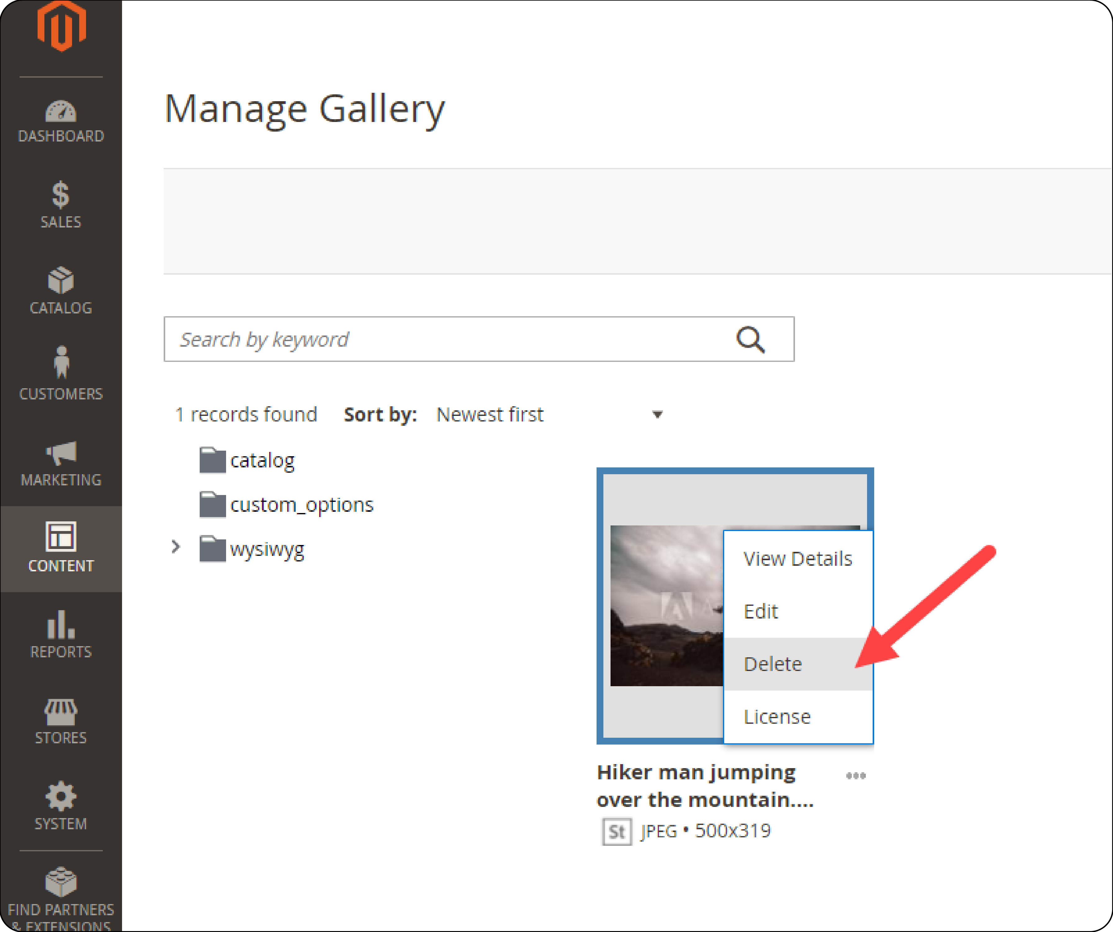 Deleting images in Magento 2 media gallery