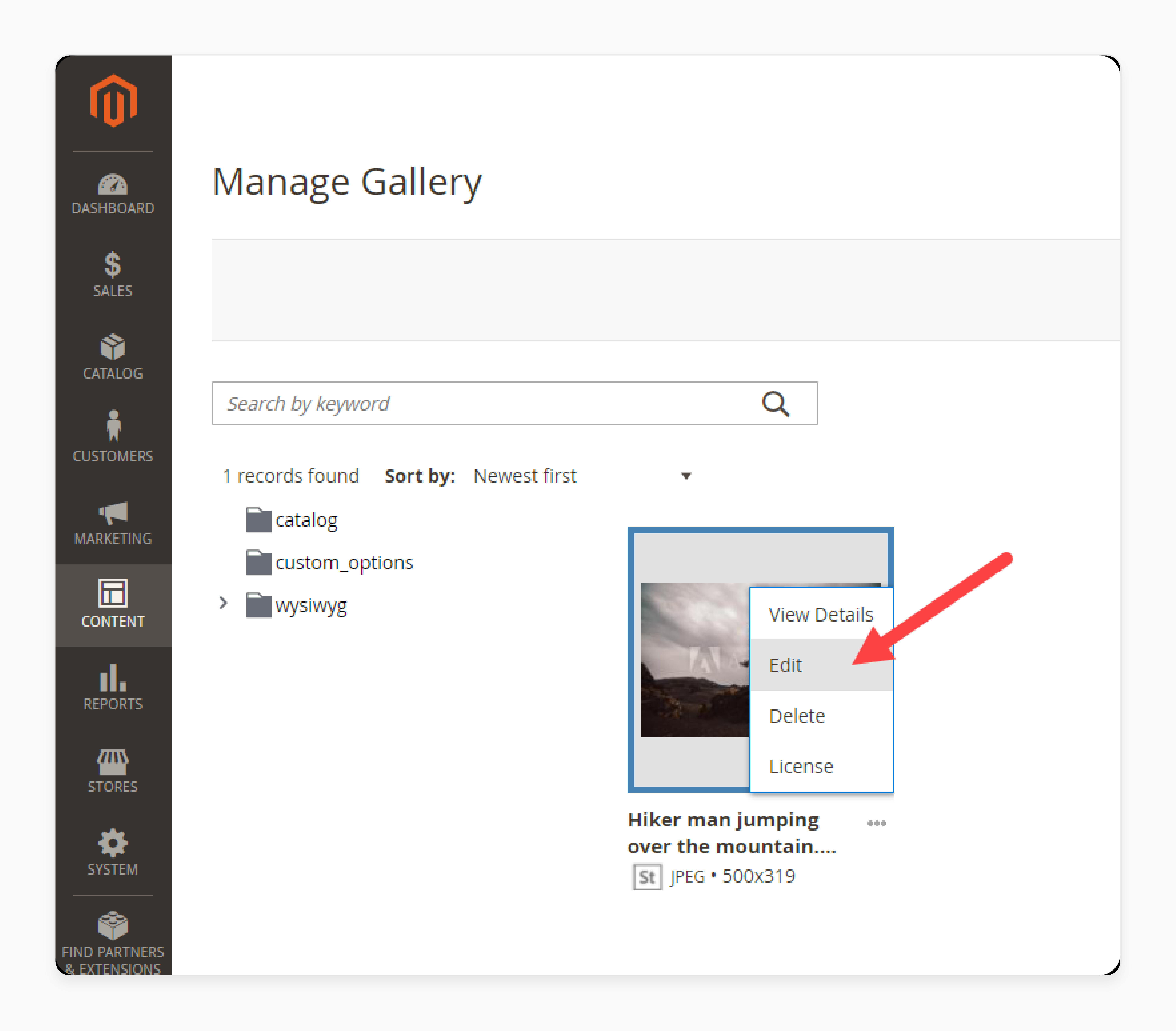 Edit media files using the Magento 2 media gallery extension
