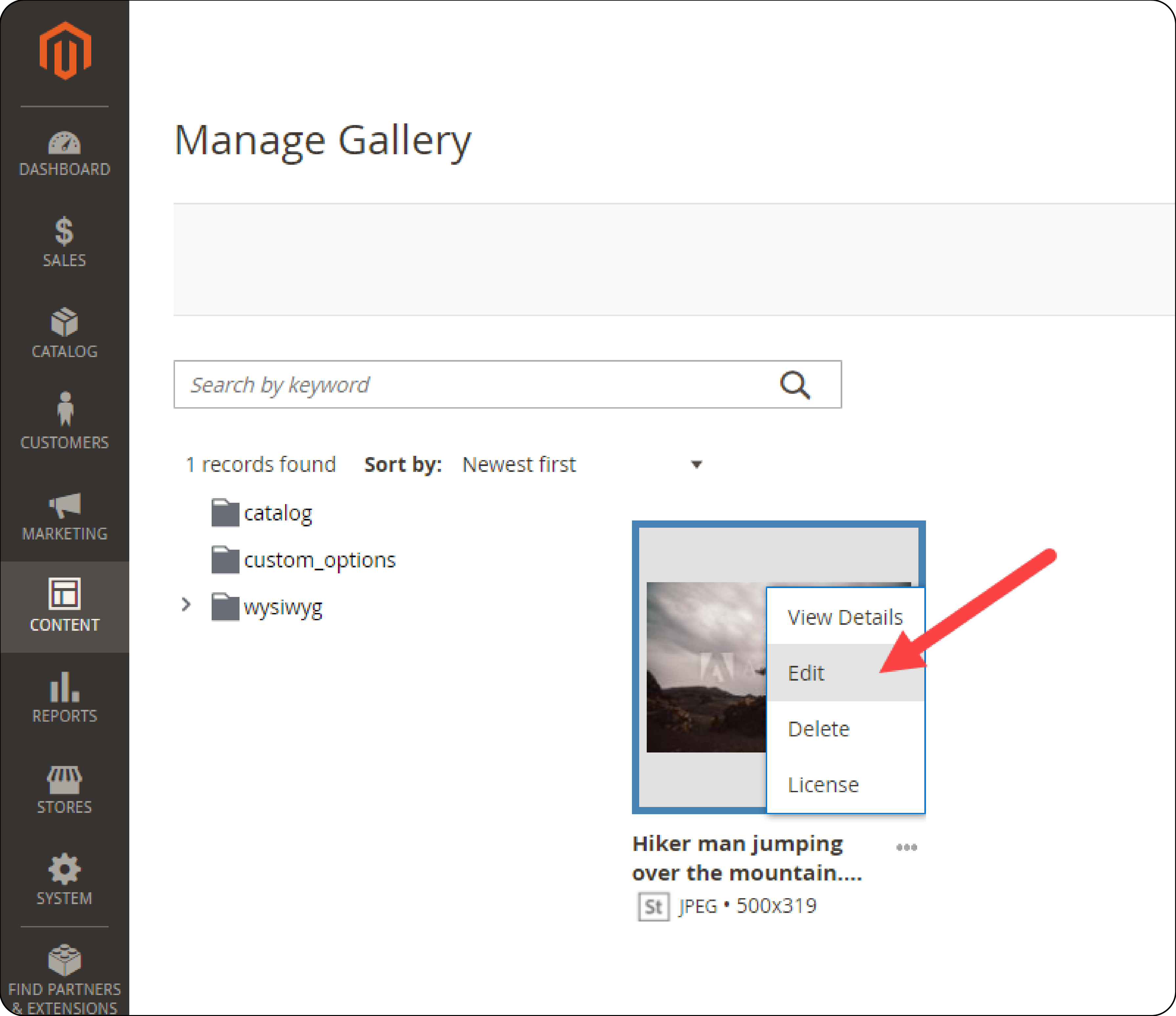 Editing images in Magento 2 media gallery