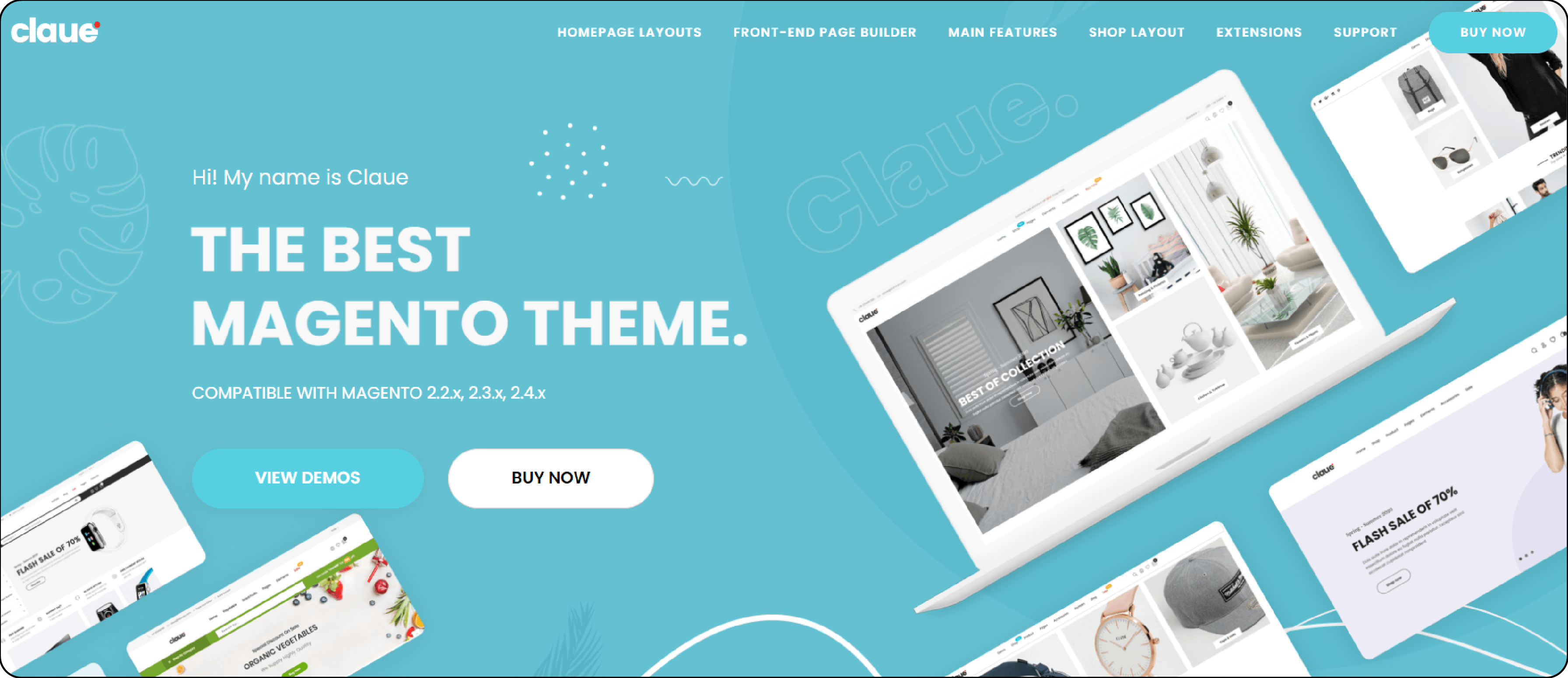 Claue Magento Web Hosting Theme