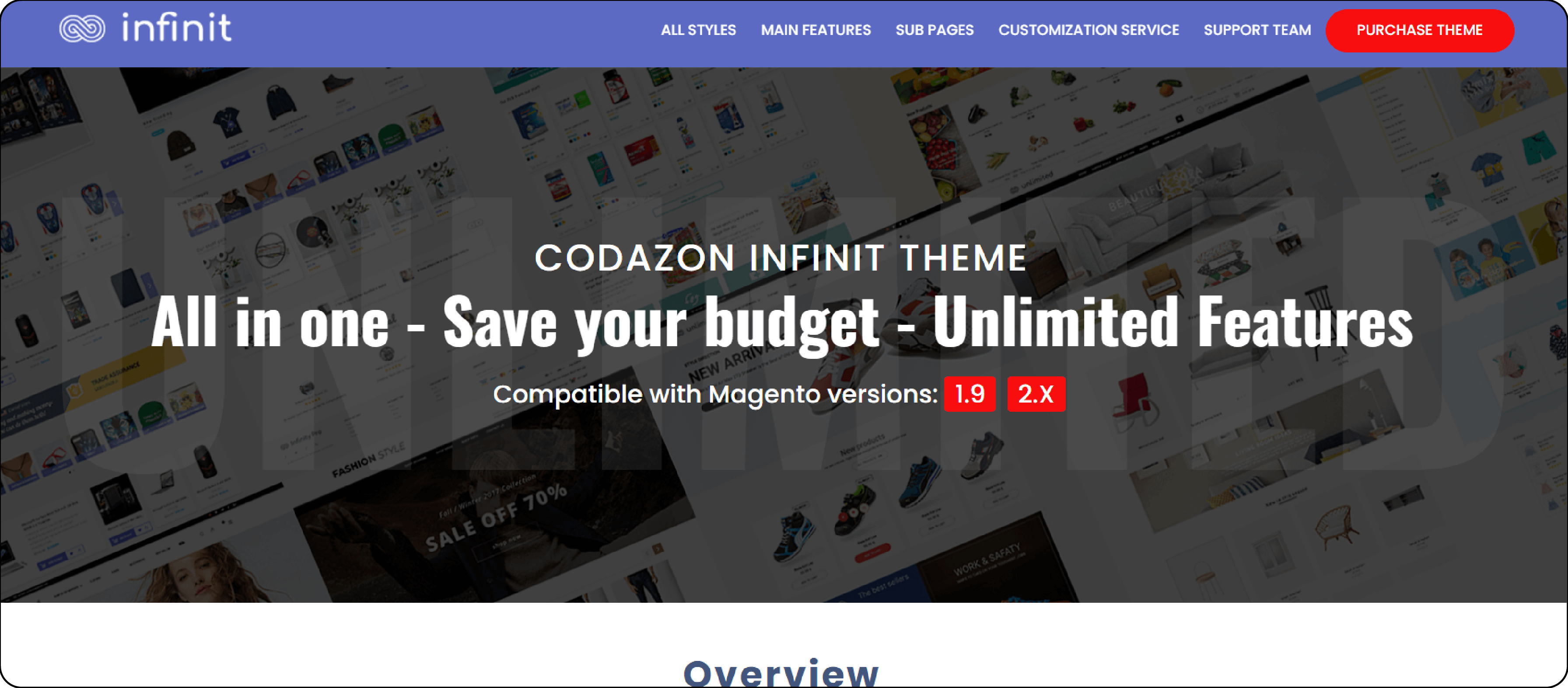 infinit Magento Web Hosting Theme