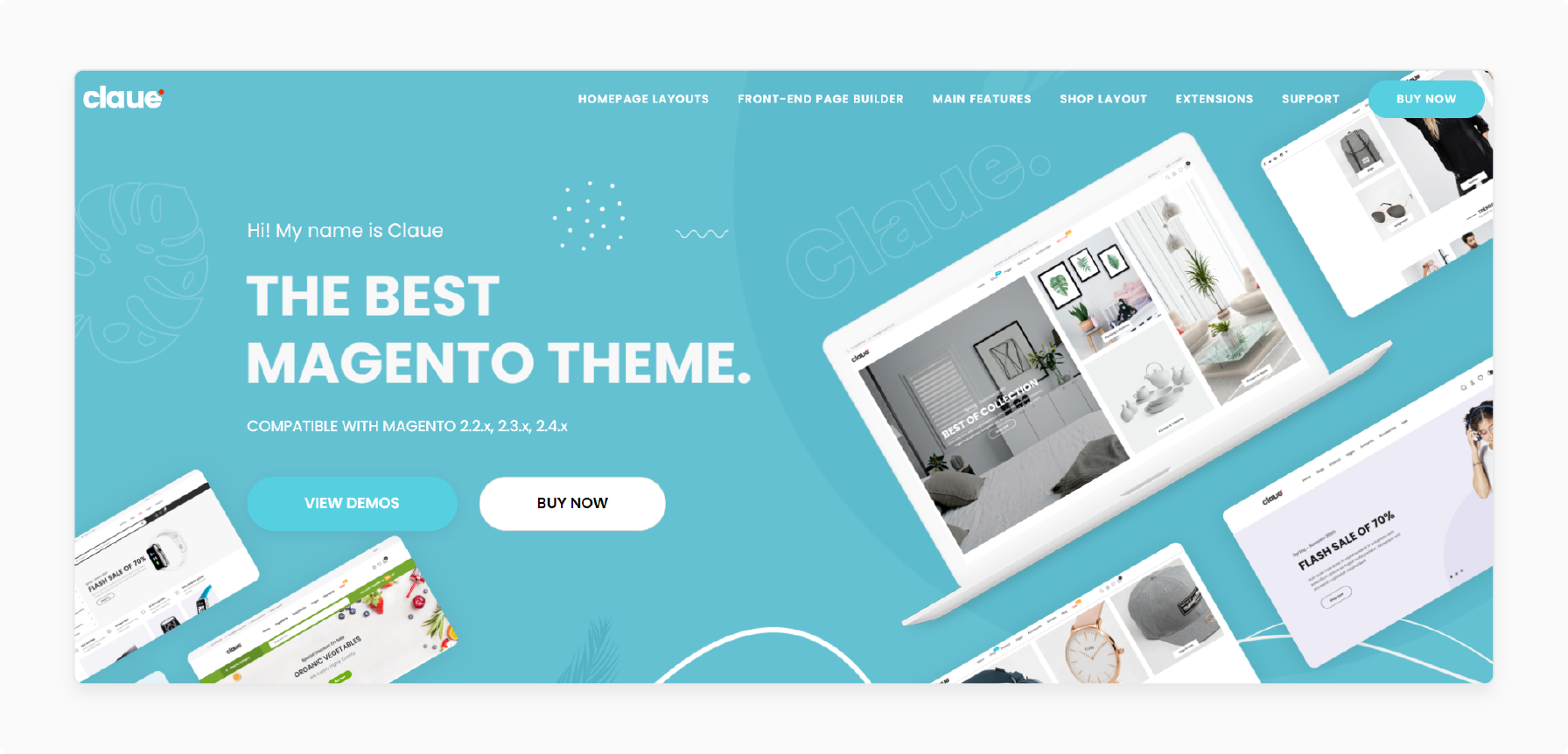 Claue Magento Web Hosting Theme