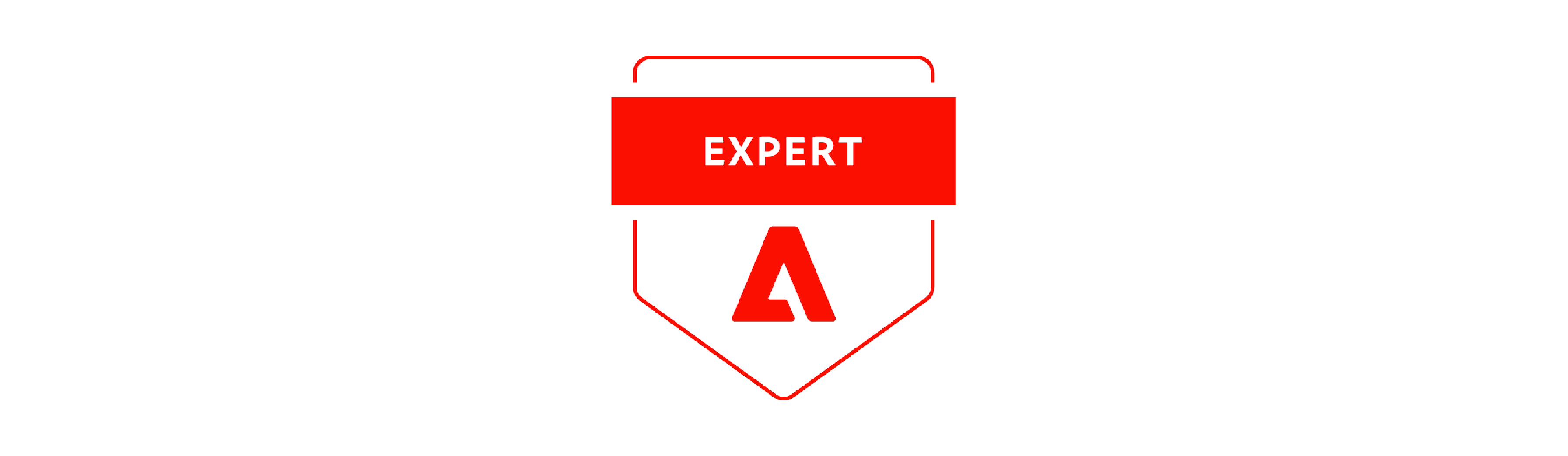 Expert Magento Developers Certificate