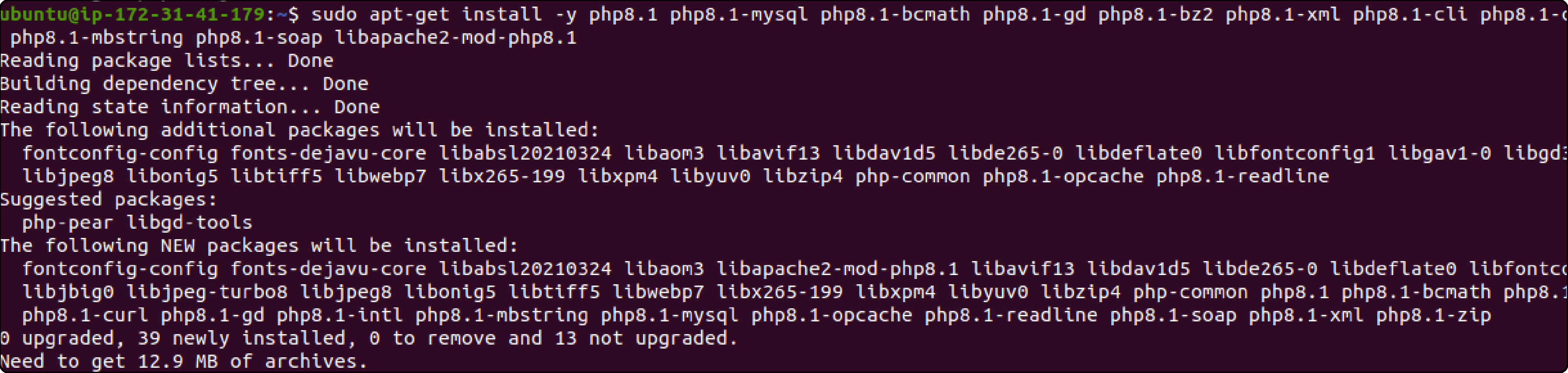 Step 3-Install PHP And The Required Extension-a-3