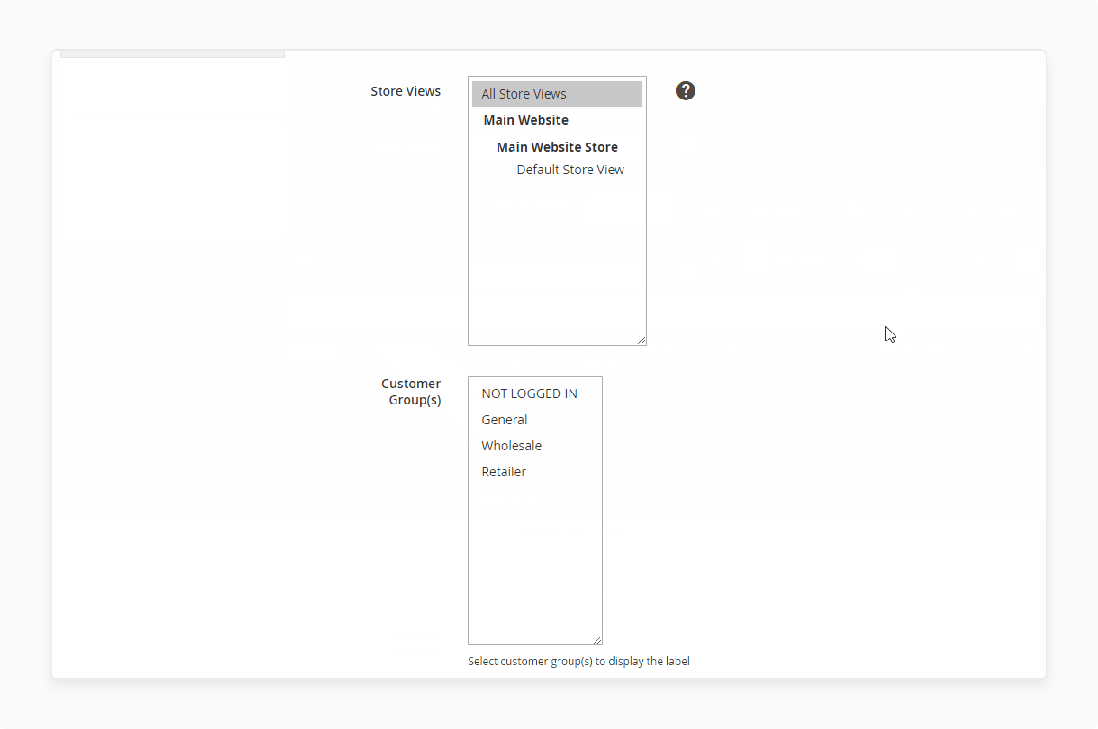 Store View Magento 2 Product Labels