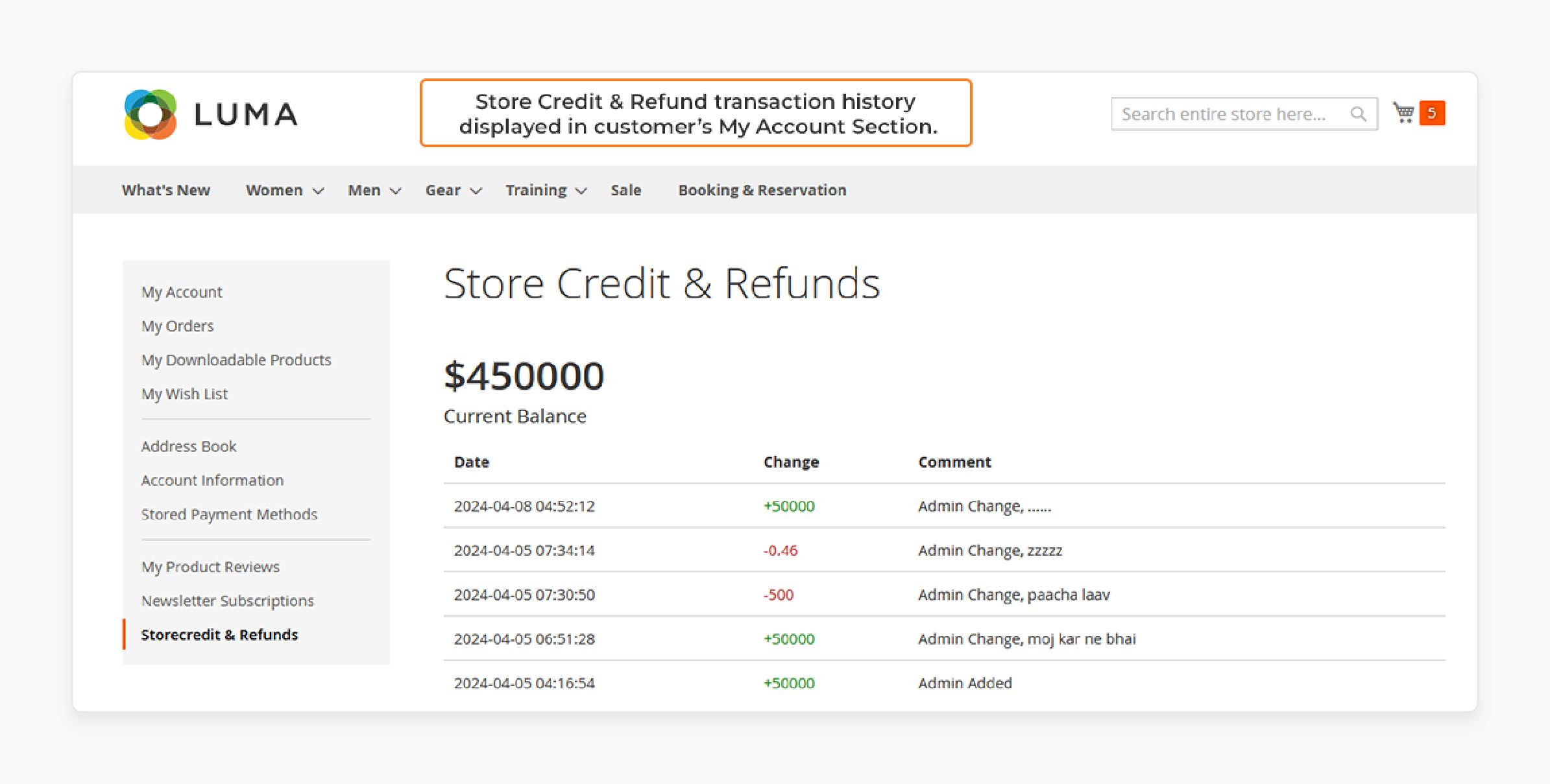 Available Credit Balance in Customer Account