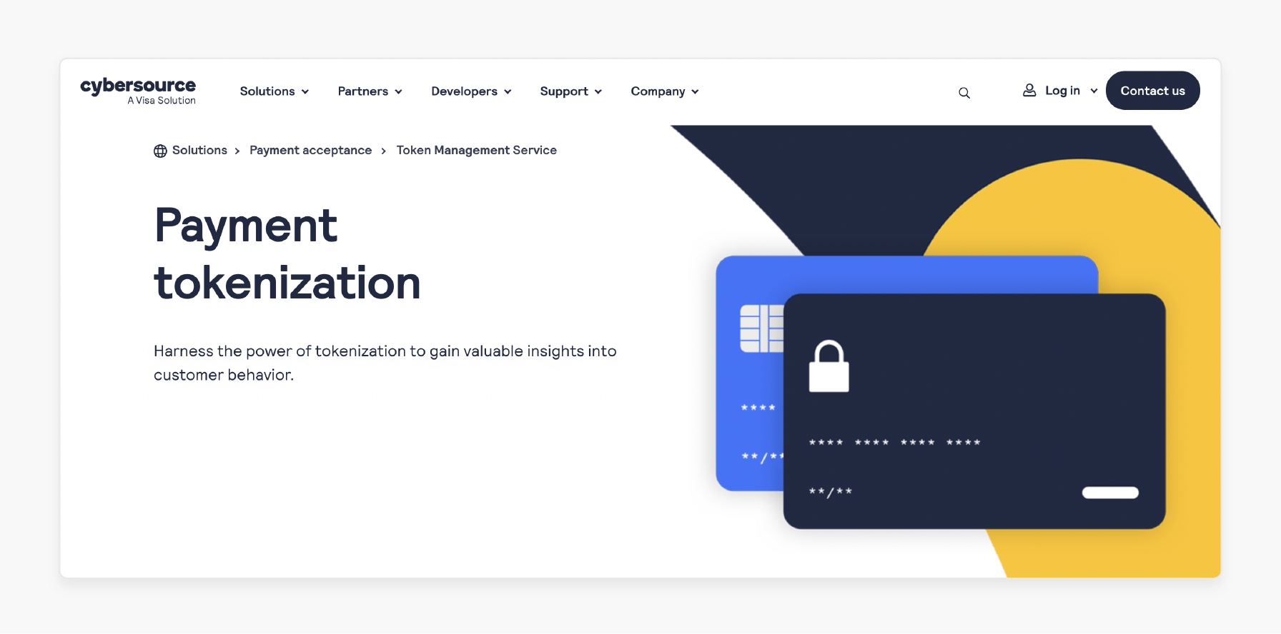 CyberSource Tokenization Extension